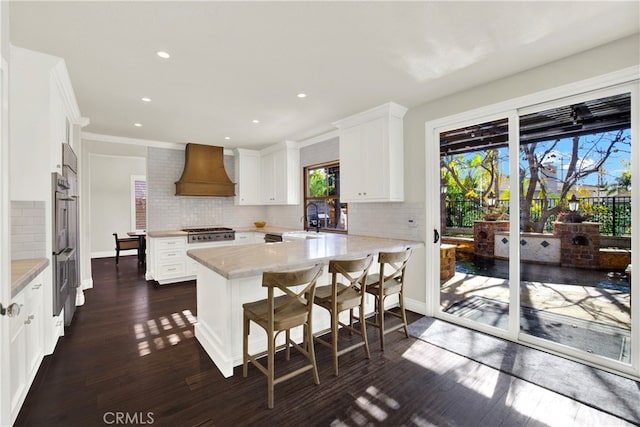 kitchen featuring stainless steel appliances, dark wood-style flooring, a sink, light countertops, and custom range hood