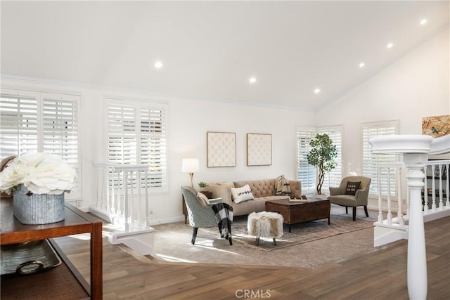 living room with high vaulted ceiling and dark hardwood / wood-style floors