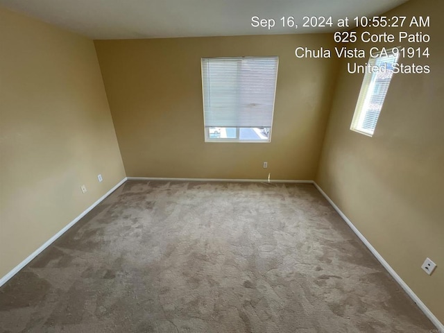 empty room with carpet floors and a wealth of natural light