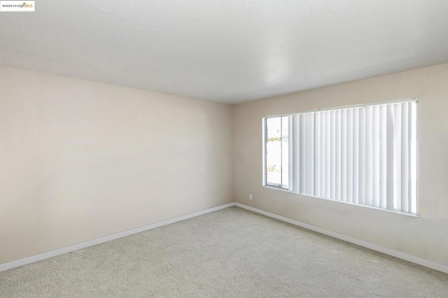 empty room featuring light colored carpet