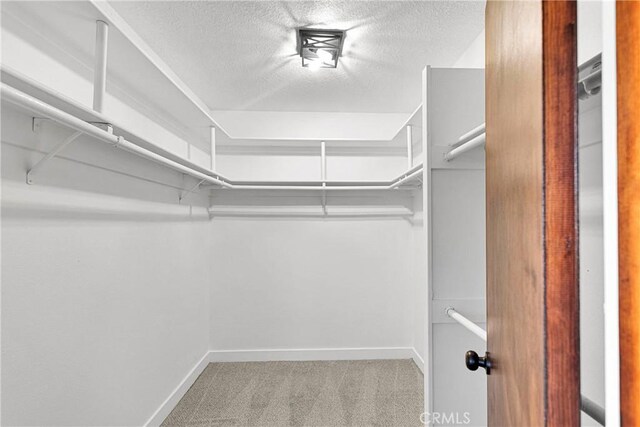 walk in closet with light colored carpet