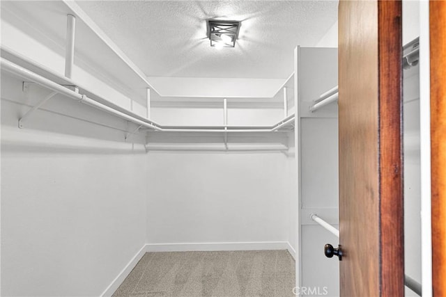 walk in closet featuring light colored carpet