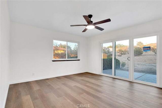 unfurnished room featuring ceiling fan and light wood-type flooring