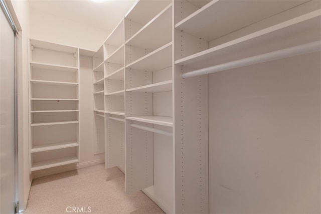 walk in closet featuring light colored carpet