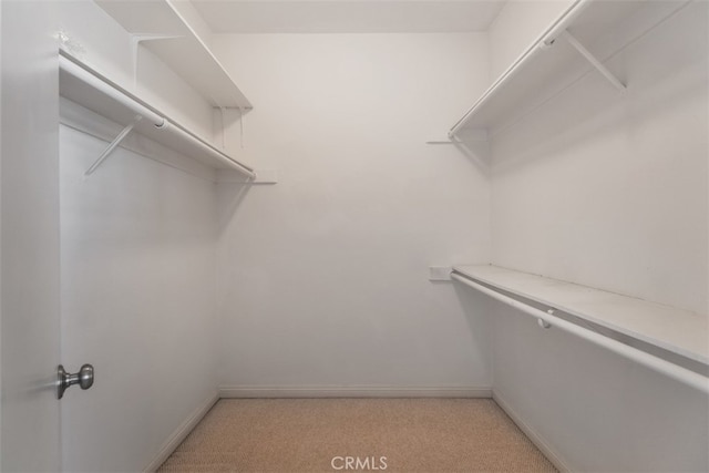 walk in closet featuring light colored carpet