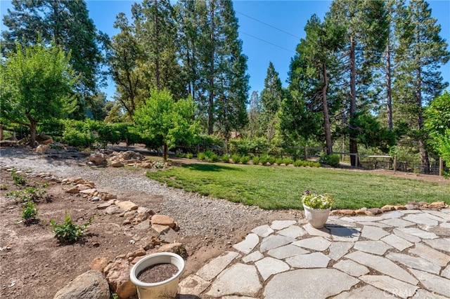 view of yard with a patio