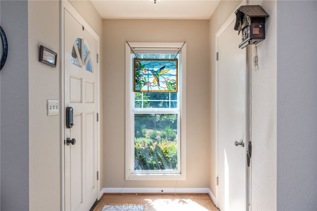 entryway with plenty of natural light