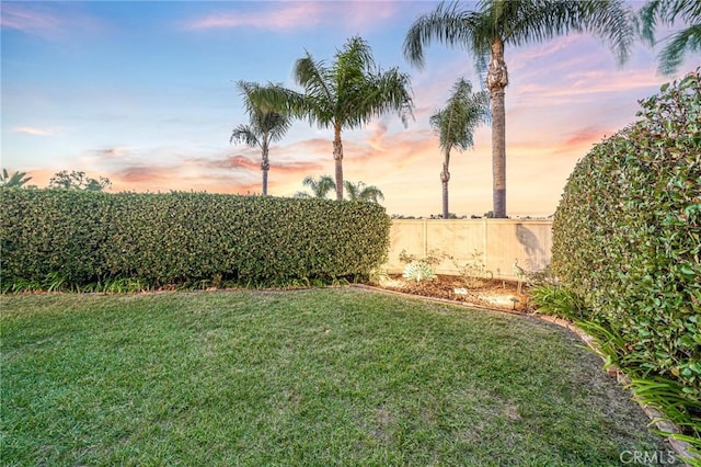 view of yard at dusk