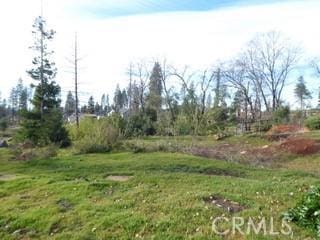 Listing photo 3 for 2336 Stearns Rd, Paradise CA 95969