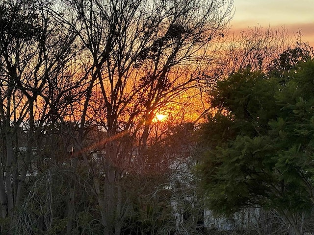 view of nature at dusk