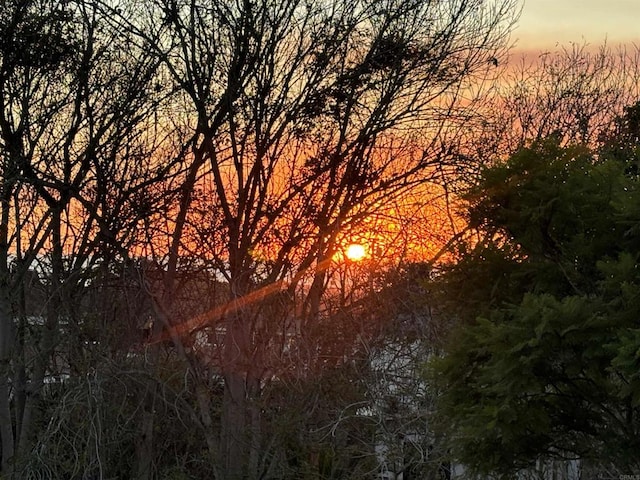 view of nature at dusk