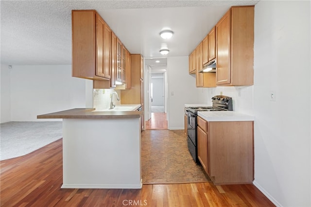 kitchen with tasteful backsplash, light hardwood / wood-style floors, black range with electric stovetop, sink, and a textured ceiling