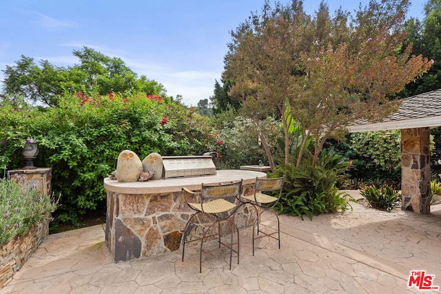 view of patio / terrace featuring an outdoor kitchen and exterior bar