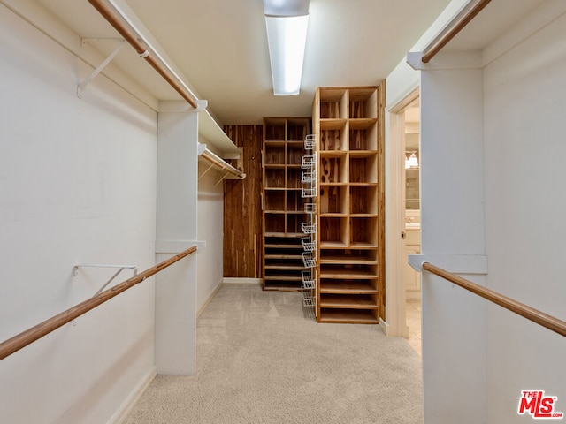 spacious closet featuring light carpet