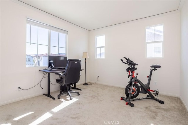 carpeted office space featuring a wealth of natural light and ornamental molding