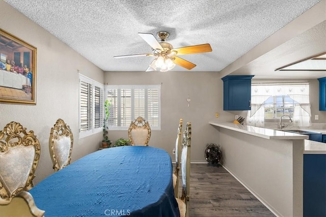 dining room with ceiling fan, dark wood-type flooring, a wealth of natural light, and sink