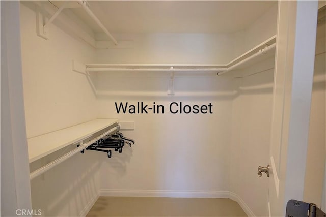 view of walk in closet