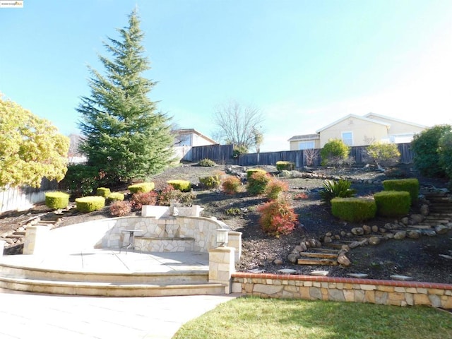 view of yard featuring a patio area