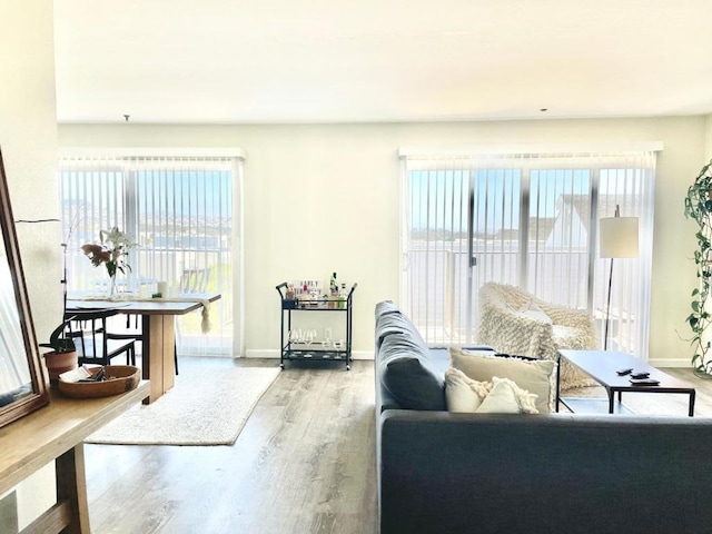 living room featuring wood-type flooring