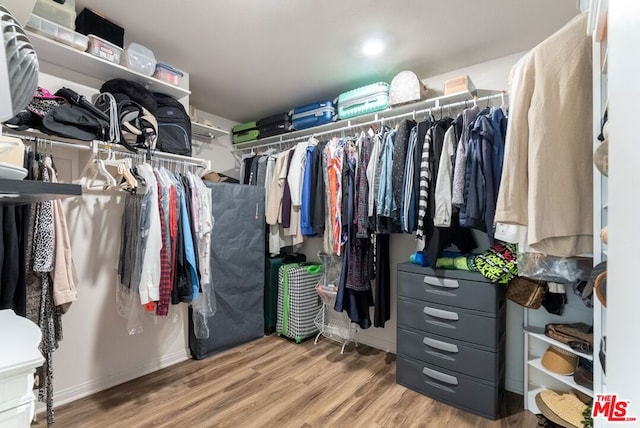 spacious closet featuring hardwood / wood-style floors