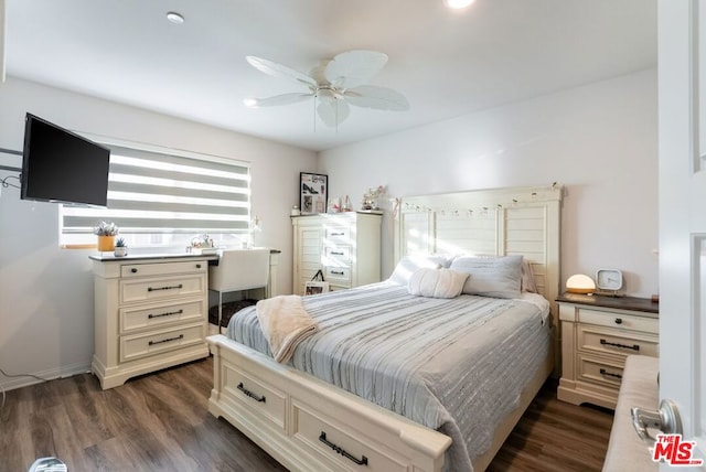 bedroom featuring ceiling fan and dark hardwood / wood-style floors