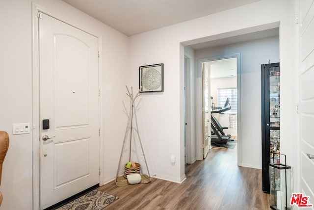 foyer entrance featuring light wood-type flooring