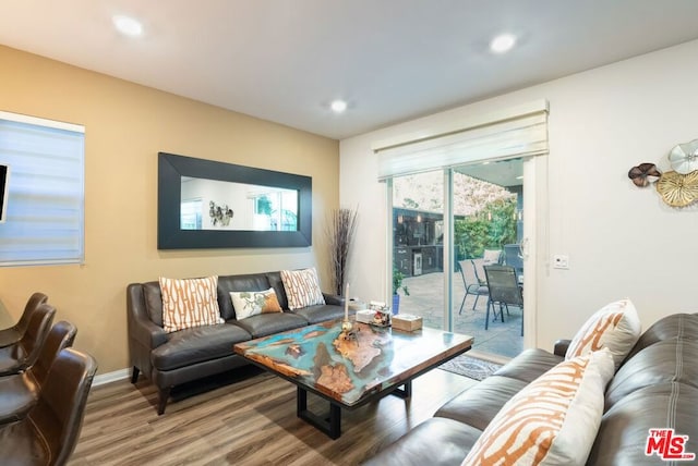 living room featuring hardwood / wood-style floors