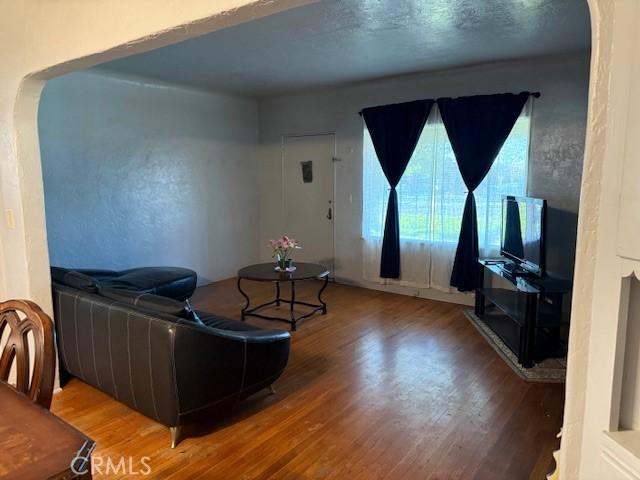 living room featuring wood-type flooring