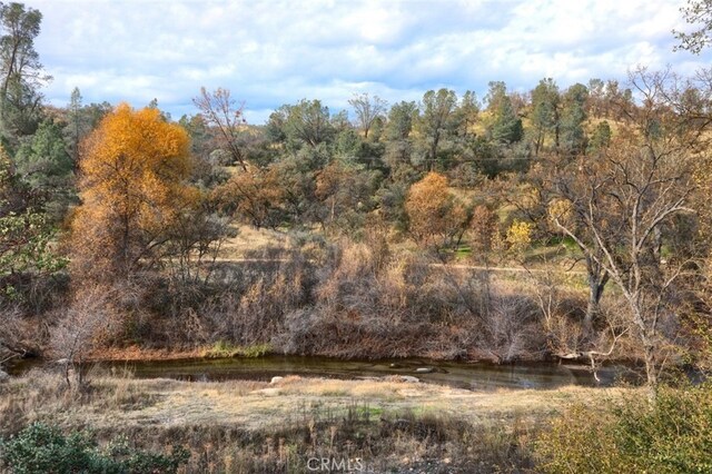 31502 Rd 400, Coarsegold, CA 93614 - photo 31