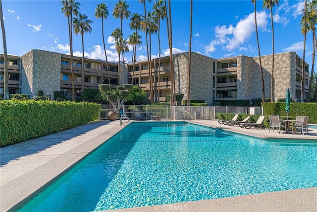 view of pool with a patio