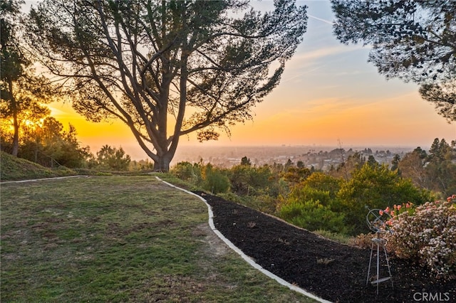 view of yard at dusk