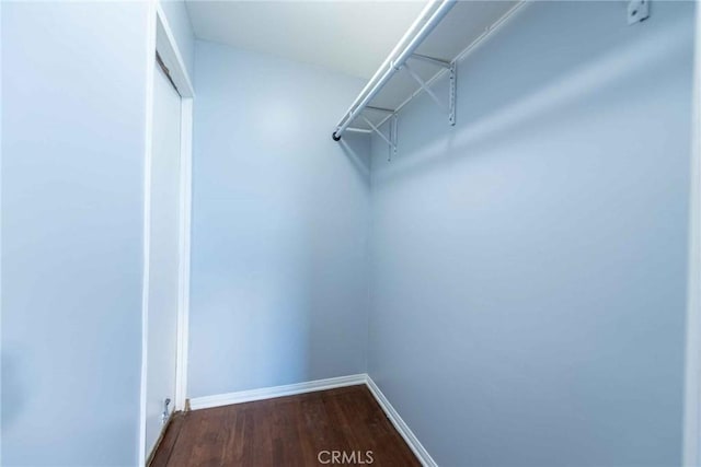 spacious closet featuring hardwood / wood-style floors