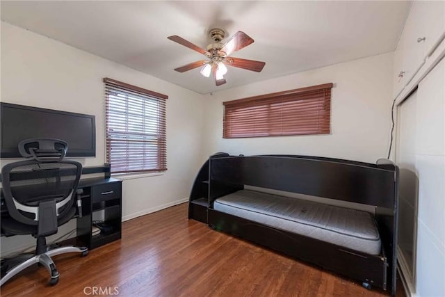 home office with ceiling fan and dark hardwood / wood-style floors