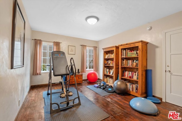 workout room featuring wood-type flooring