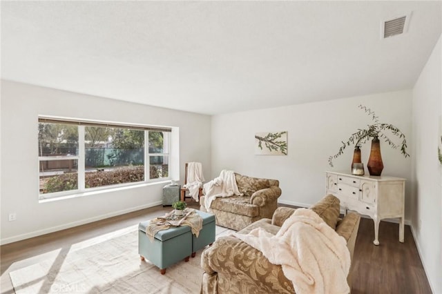 living room featuring wood-type flooring