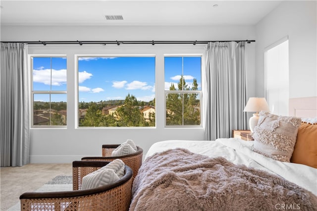 bedroom featuring carpet, visible vents, and baseboards