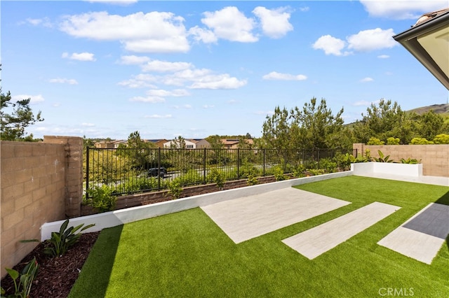 view of yard with a patio area and a fenced backyard