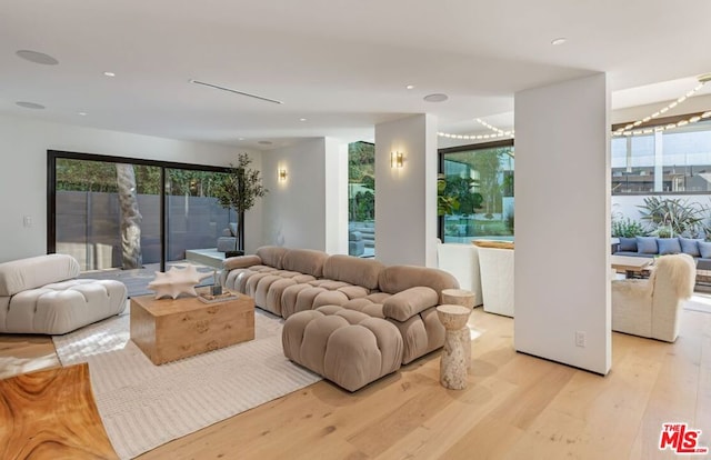 living room featuring light hardwood / wood-style floors