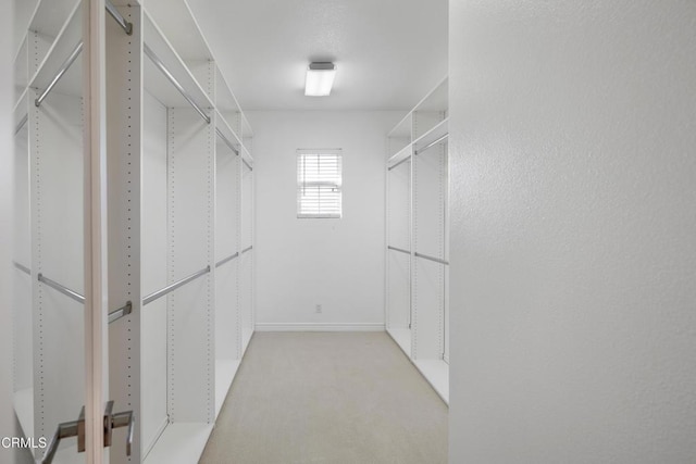 walk in closet featuring light carpet