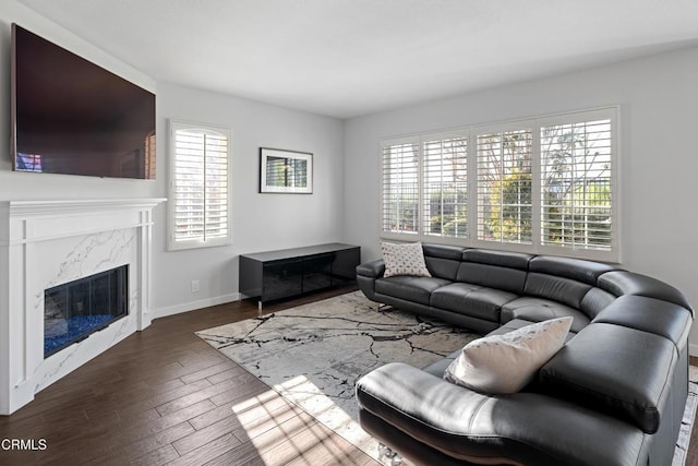 living area featuring wood finished floors, baseboards, and a premium fireplace