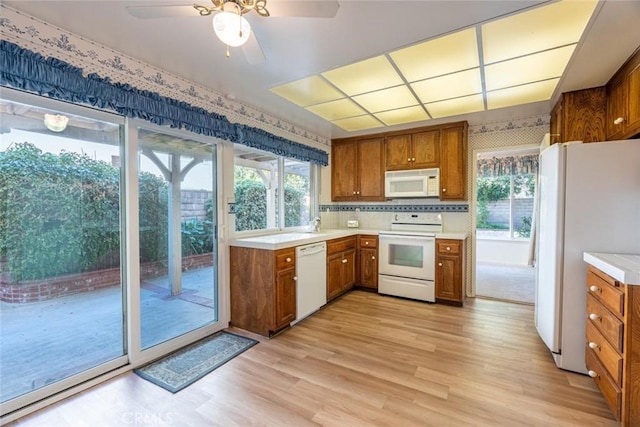 kitchen with ceiling fan, light wood-type flooring, decorative backsplash, and white appliances