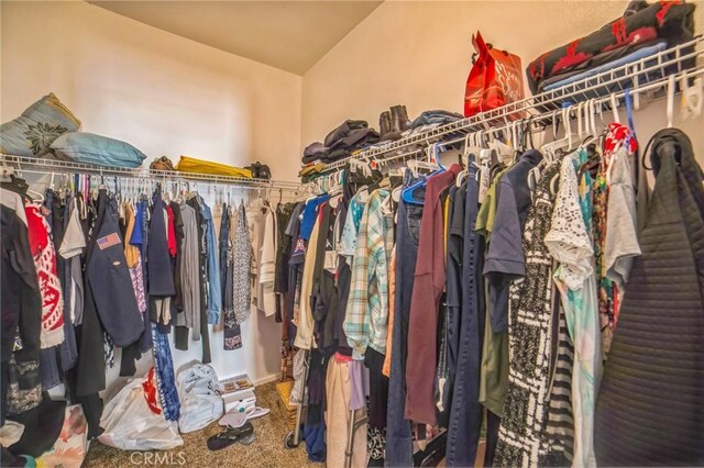 spacious closet featuring carpet