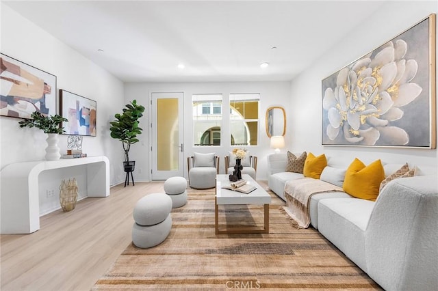 living room with wood-type flooring