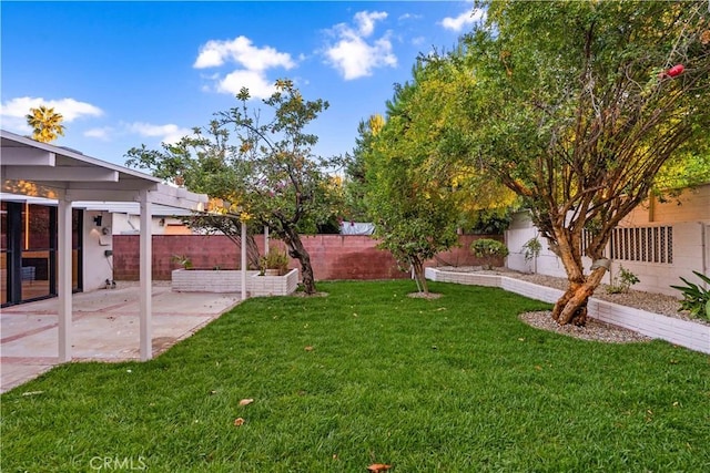 view of yard with a patio area