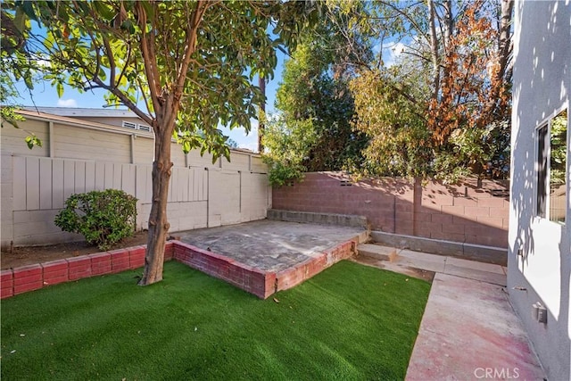 view of yard with a patio area