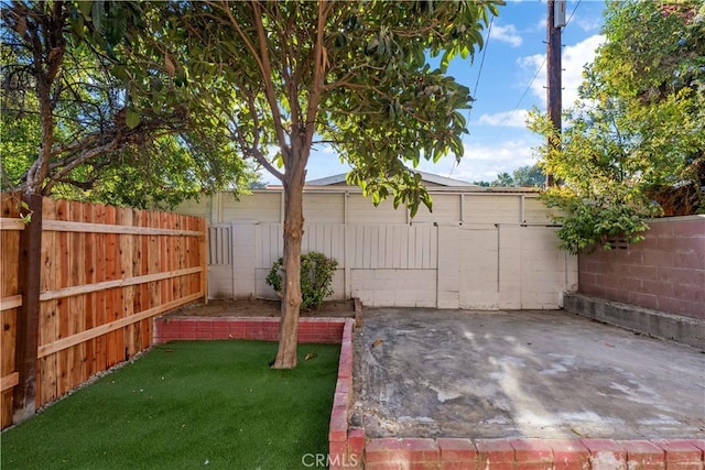 view of yard featuring a patio area