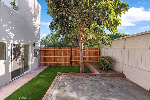 view of yard featuring a patio