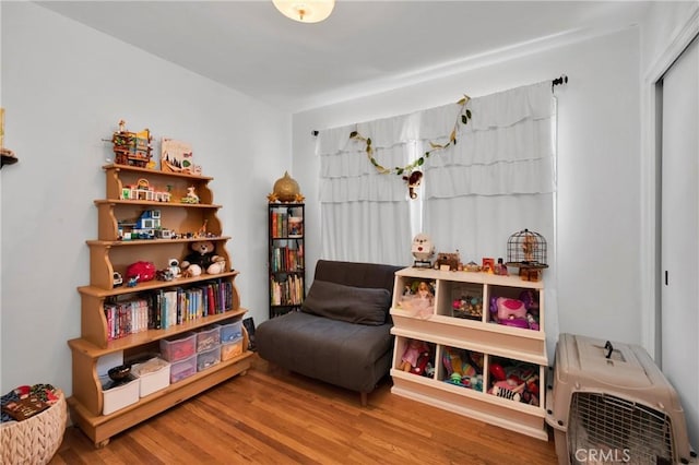 playroom with hardwood / wood-style floors