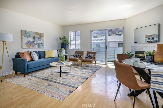 living room with wood-type flooring and a fireplace