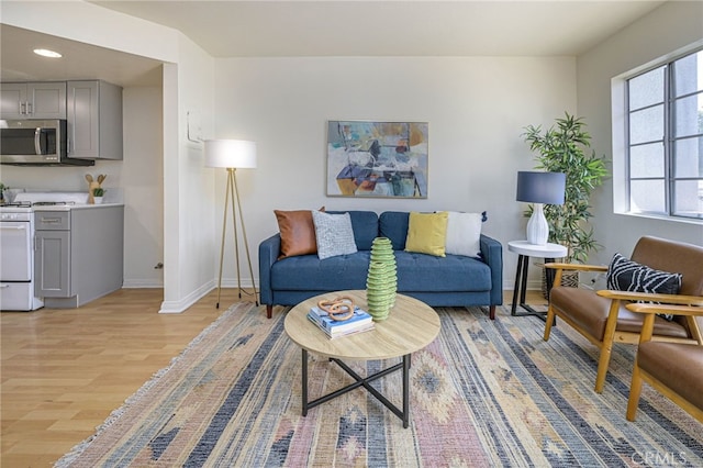 living room featuring light hardwood / wood-style flooring